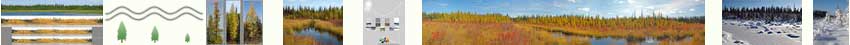Tr3-(50x850)