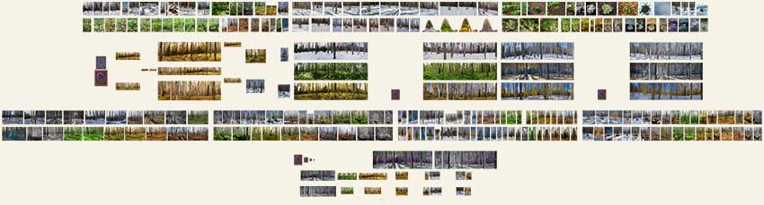 e62-MINIs-1-destinDestiny-explicExplan-229x850
