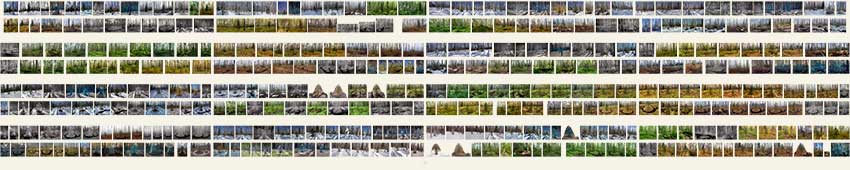 e62-MINIs-1-destinDestiny-xtras-170x850