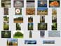 ContactSheet-TR6-65
