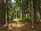 Tr5-Ombrage-shade-5b-2