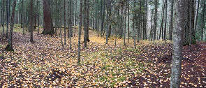 Tr7-2e-pano-O-s-Go-126x295
