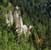 tr7-6-DSC00102-sudPG-quesnel-h50