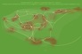 61D-sec2-vertBrun-greenBrown-60x91
