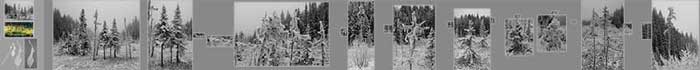 61D-11b-70x700