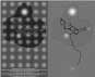 e62-2-pisteLUM-trailLight