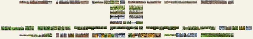 e62-MINIs-8-avantA-(132x850)