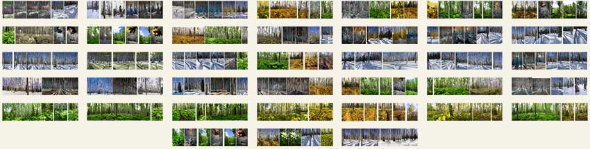 e62-MINIs-9-transition-(216x850)