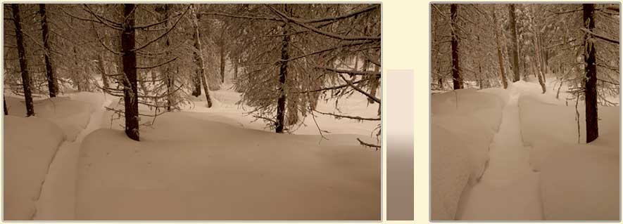 e64-haut-liste