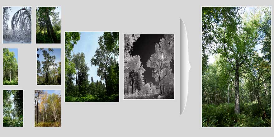 image-haut e66