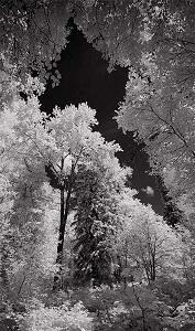 e66-imageBas-300x177