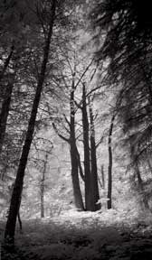 e67-imageBas-(288x168)