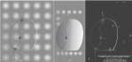 e67ci-lumLight(71x149)